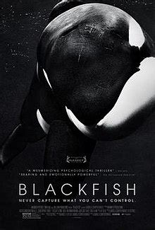 blackfish wikipedia